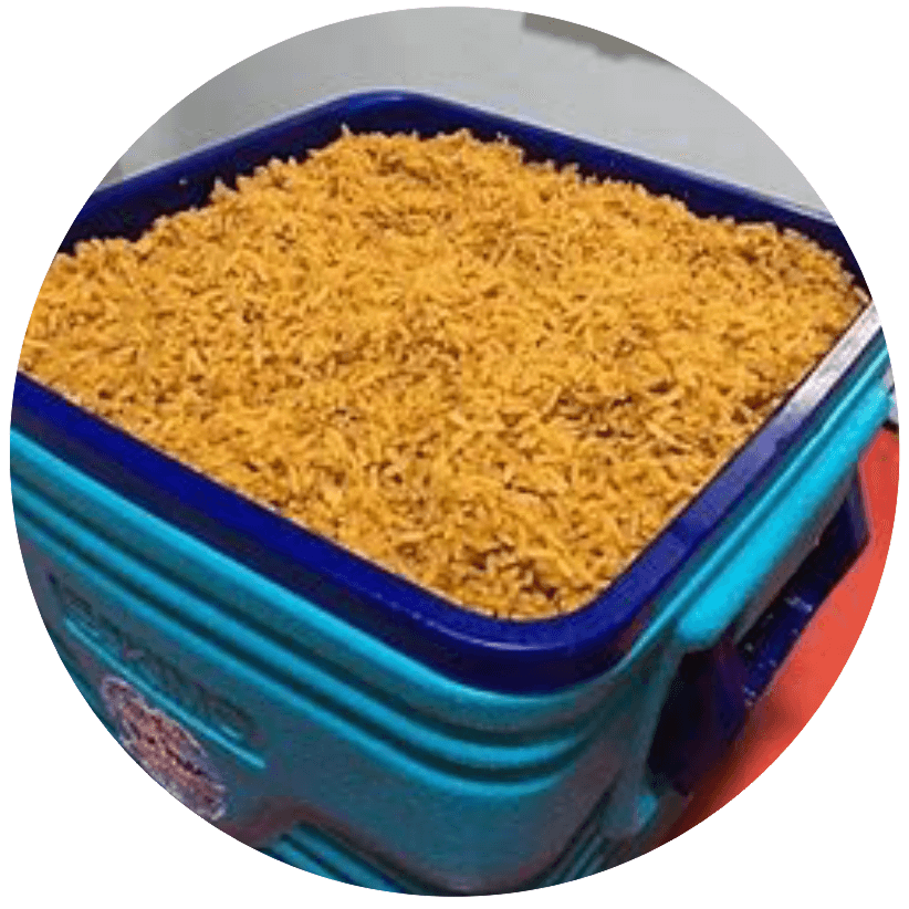 Rice Jollof or White in a Small Cooler Tray